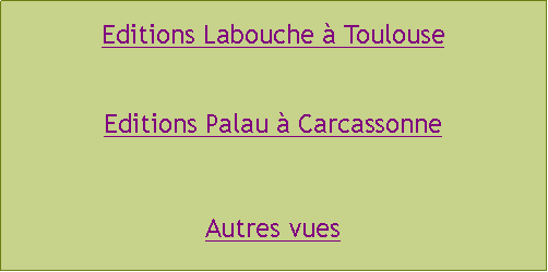 Zone de Texte: Editions Labouche  ToulouseEditions Palau  CarcassonneAutres vues