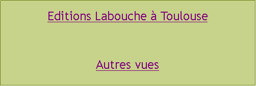 Zone de Texte: Editions Labouche à ToulouseAutres vues