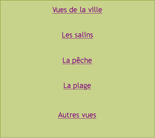 Zone de Texte: Vues de la villeLes salinsLa pcheLa plageAutres vues