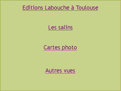 Zone de Texte: Editions Labouche à ToulouseLes salinsCartes photoAutres vues