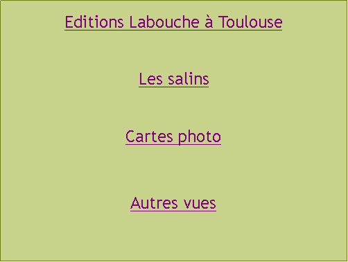 Zone de Texte: Editions Labouche  ToulouseLes salinsCartes photoAutres vues